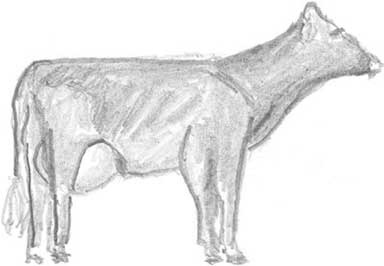 Иллюстрация к книге — Молоко! Самый спорный продукт [i_053.jpg]