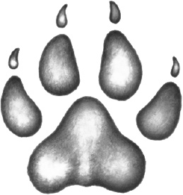 Иллюстрация к книге — День огня [i_001.jpg]