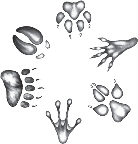 Иллюстрация к книге — День огня [i_002.jpg]