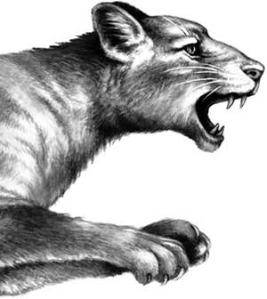 Иллюстрация к книге — День огня [i_005.jpg]