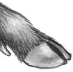 Иллюстрация к книге — День огня [i_008.jpg]