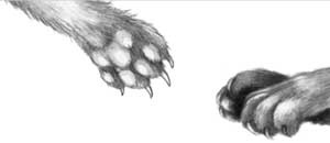 Иллюстрация к книге — День огня [i_009.jpg]