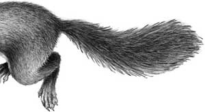 Иллюстрация к книге — День огня [i_010.jpg]