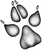 Иллюстрация к книге — День огня [i_011.jpg]