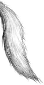 Иллюстрация к книге — День огня [i_012.jpg]