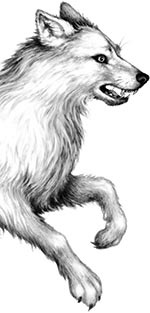 Иллюстрация к книге — День огня [i_014.jpg]