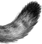 Иллюстрация к книге — День огня [i_015.jpg]