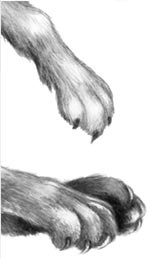 Иллюстрация к книге — День огня [i_016.jpg]