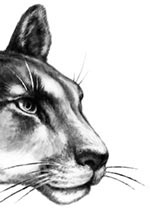 Иллюстрация к книге — День огня [i_021.jpg]