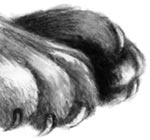 Иллюстрация к книге — День огня [i_024.jpg]