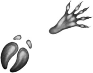 Иллюстрация к книге — День огня [i_025.jpg]