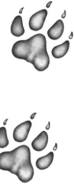 Иллюстрация к книге — День огня [i_026.jpg]