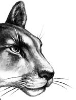 Иллюстрация к книге — День огня [i_031.jpg]