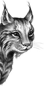 Иллюстрация к книге — День огня [i_034.jpg]