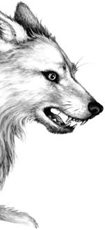 Иллюстрация к книге — День огня [i_035.jpg]