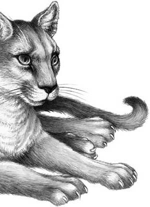 Иллюстрация к книге — День огня [i_038.jpg]