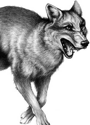 Иллюстрация к книге — День огня [i_041.jpg]