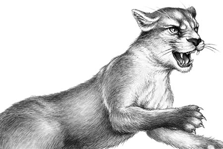 Иллюстрация к книге — День огня [i_042.jpg]