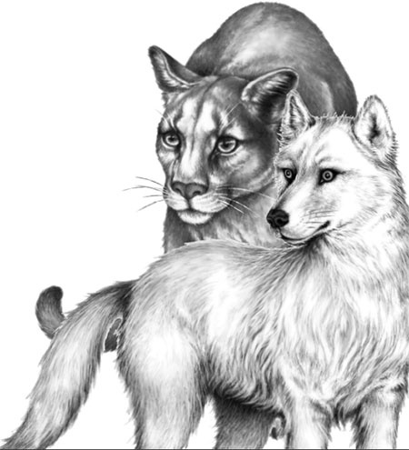 Иллюстрация к книге — День огня [i_045.jpg]