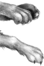 Иллюстрация к книге — День огня [i_046.jpg]