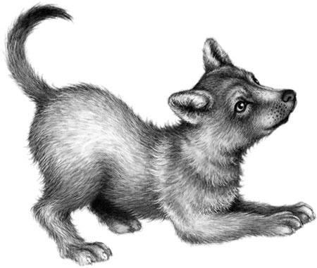 Иллюстрация к книге — День огня [i_048.jpg]