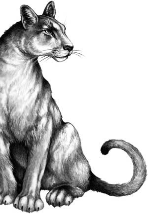 Иллюстрация к книге — День огня [i_053.jpg]