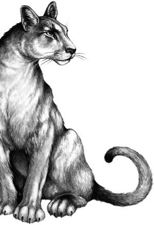 Иллюстрация к книге — День огня [i_058.jpg]