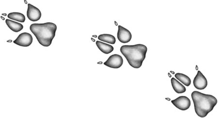 Иллюстрация к книге — День огня [i_066.jpg]