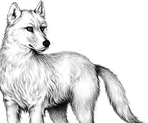 Иллюстрация к книге — День огня [i_067.jpg]