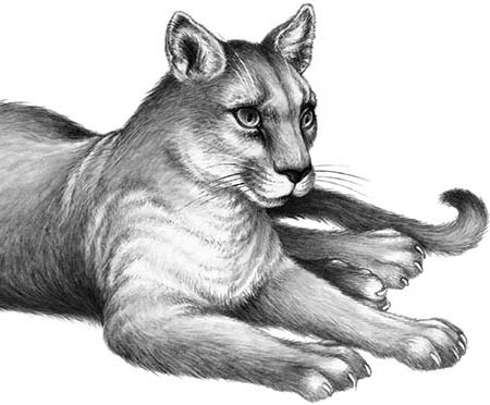 Иллюстрация к книге — День огня [i_068.jpg]