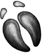 Иллюстрация к книге — День огня [i_069.jpg]