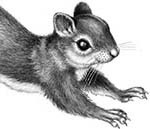 Иллюстрация к книге — День огня [i_075.jpg]