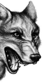 Иллюстрация к книге — День огня [i_077.jpg]