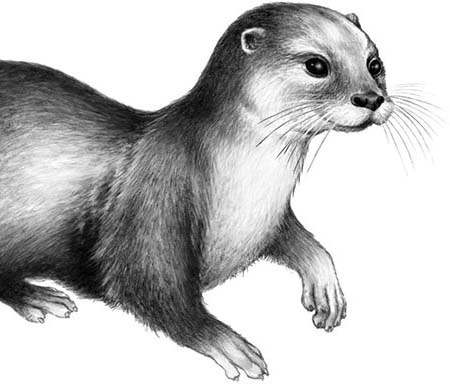 Иллюстрация к книге — День огня [i_083.jpg]