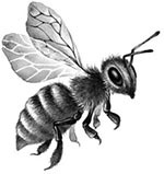 Иллюстрация к книге — День огня [i_086.jpg]