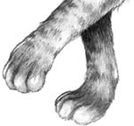 Иллюстрация к книге — День огня [i_090.jpg]