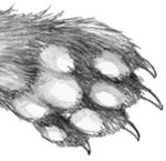 Иллюстрация к книге — День огня [i_094.jpg]