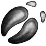 Иллюстрация к книге — День огня [i_095.jpg]