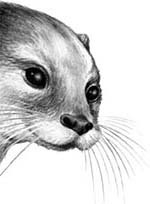 Иллюстрация к книге — День огня [i_098.jpg]