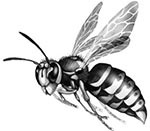 Иллюстрация к книге — День огня [i_103.jpg]