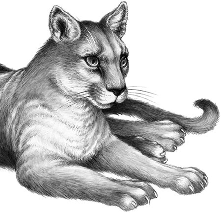 Иллюстрация к книге — День огня [i_104.jpg]