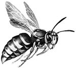 Иллюстрация к книге — День огня [i_107.jpg]