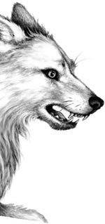 Иллюстрация к книге — День огня [i_109.jpg]