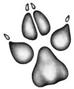 Иллюстрация к книге — День огня [i_111.jpg]