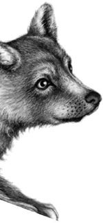 Иллюстрация к книге — День огня [i_113.jpg]