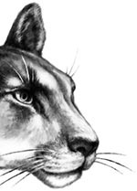 Иллюстрация к книге — День огня [i_114.jpg]