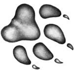 Иллюстрация к книге — День огня [i_117.jpg]