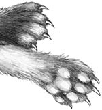 Иллюстрация к книге — День огня [i_119.jpg]