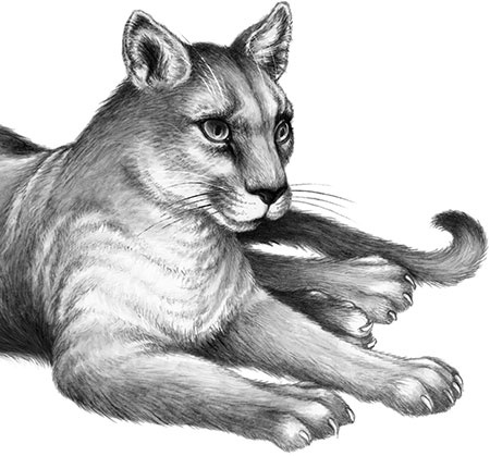 Иллюстрация к книге — День огня [i_124.jpg]