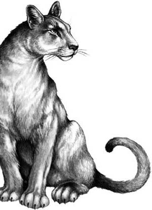 Иллюстрация к книге — День огня [i_125.jpg]